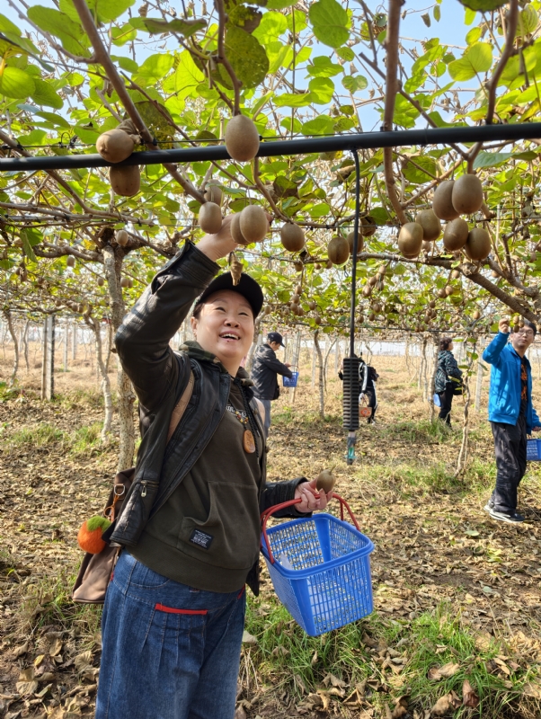 夜莺的第四张照片--青岛闪婚服务中心